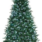 LED Glass Holiday Trees, Set of 2