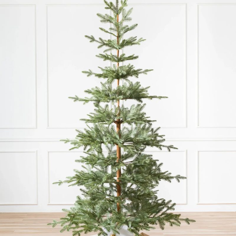 What Is a Grow-and-Stow Christmas Tree? Shop Our 2023 Picks