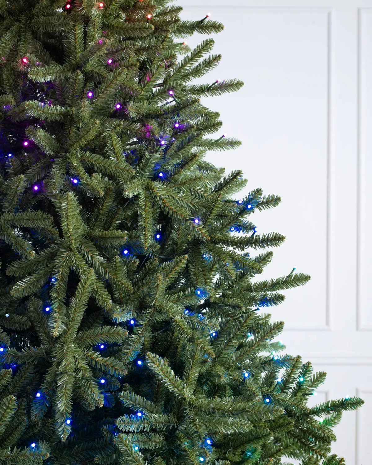 Classic Blue Spruce®