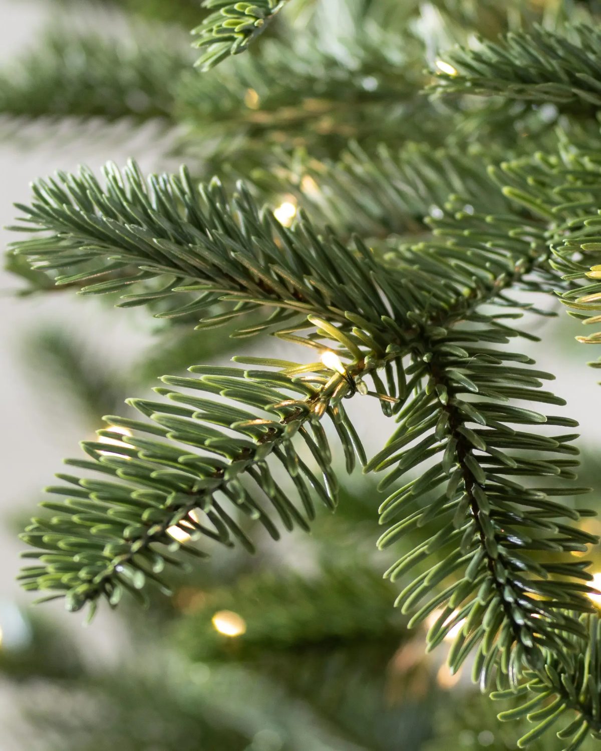 European Fir® Tree