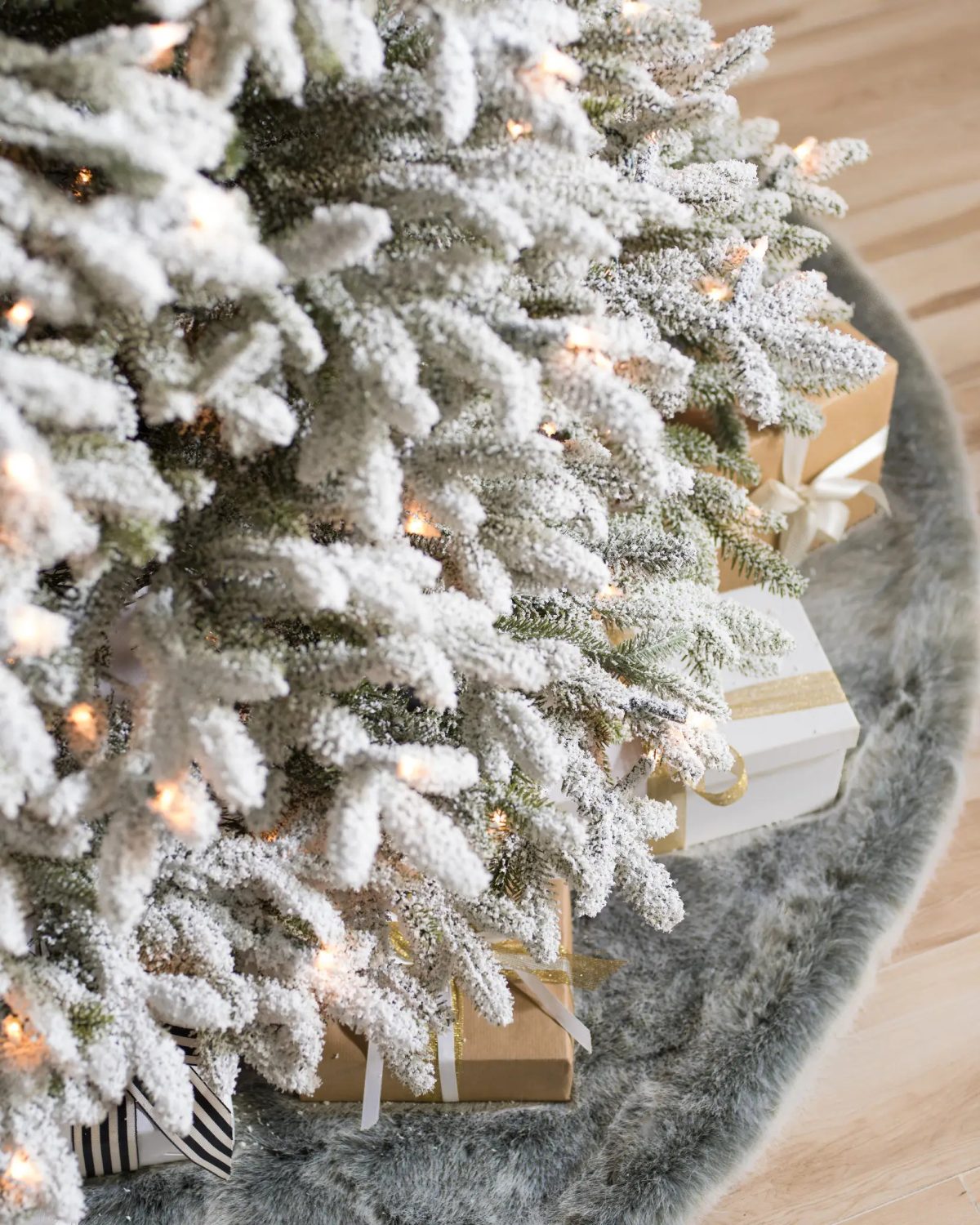 Frosted Fraser Fir®