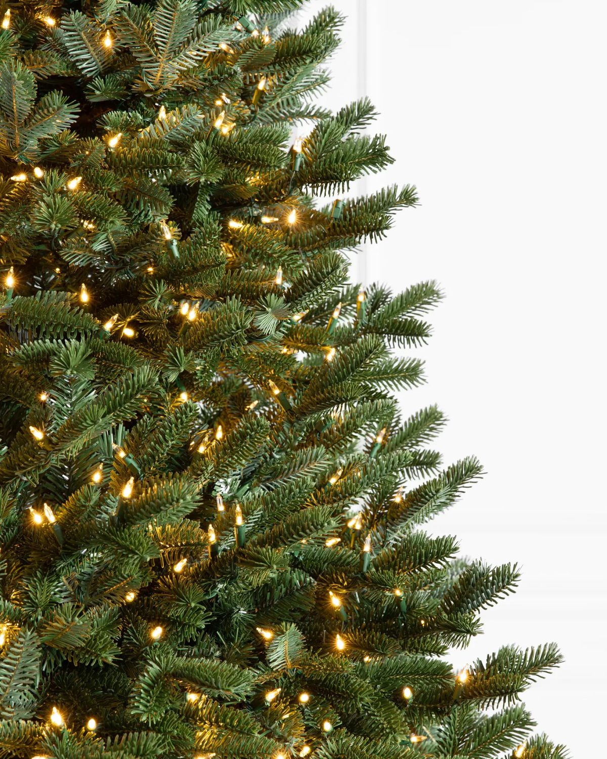 Fraser Fir® Tree