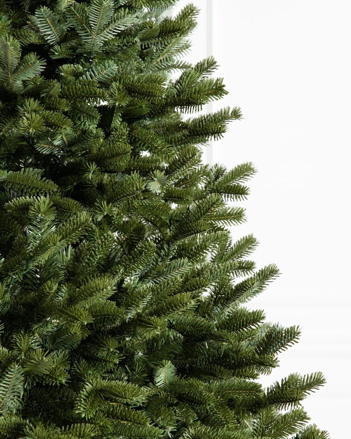 Fraser Fir® Tree