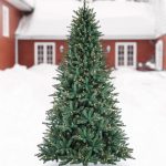 Mariana Spruce®