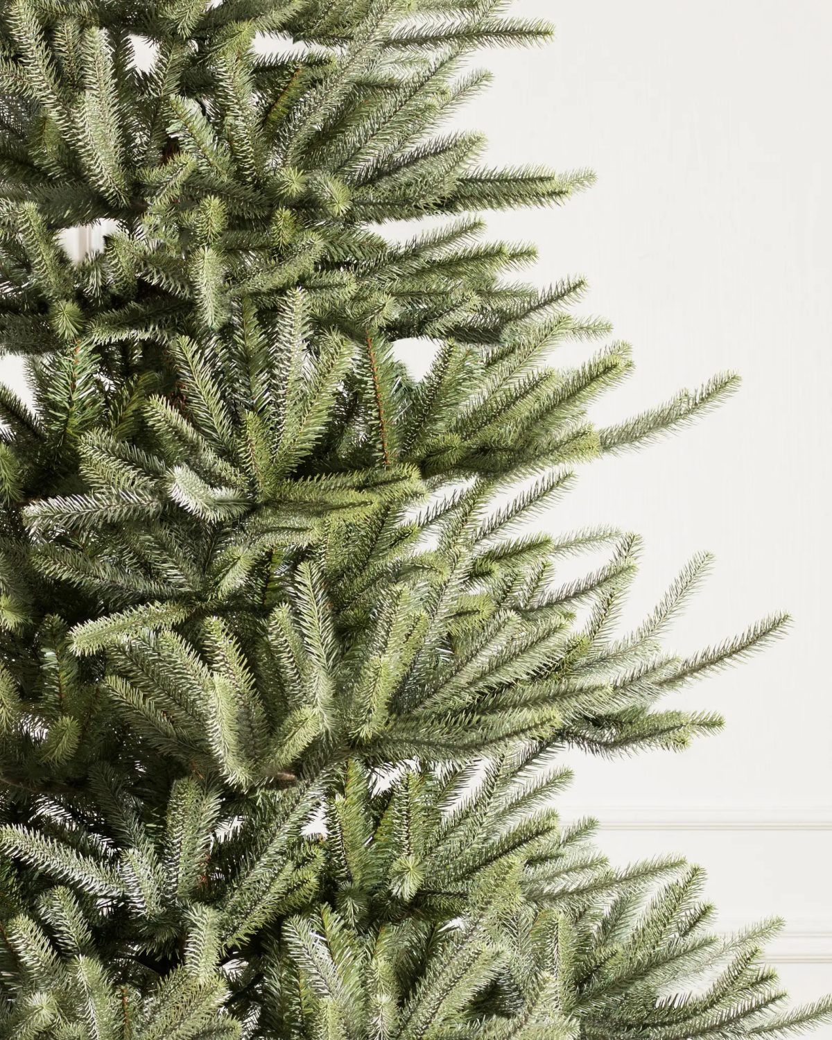 Sanibel Spruce® Tree