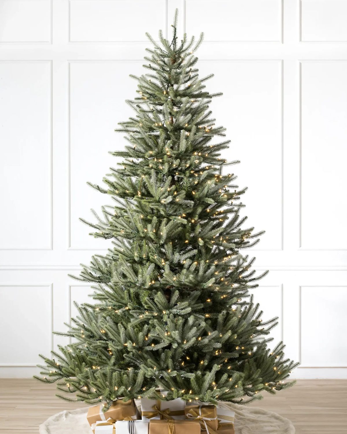 Sanibel Spruce® Tree