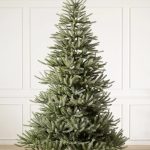 Vermont White Spruce®