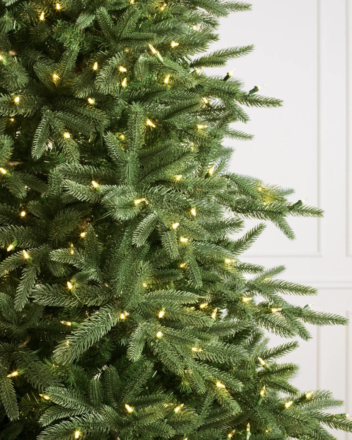 Saratoga Spruce® Tree