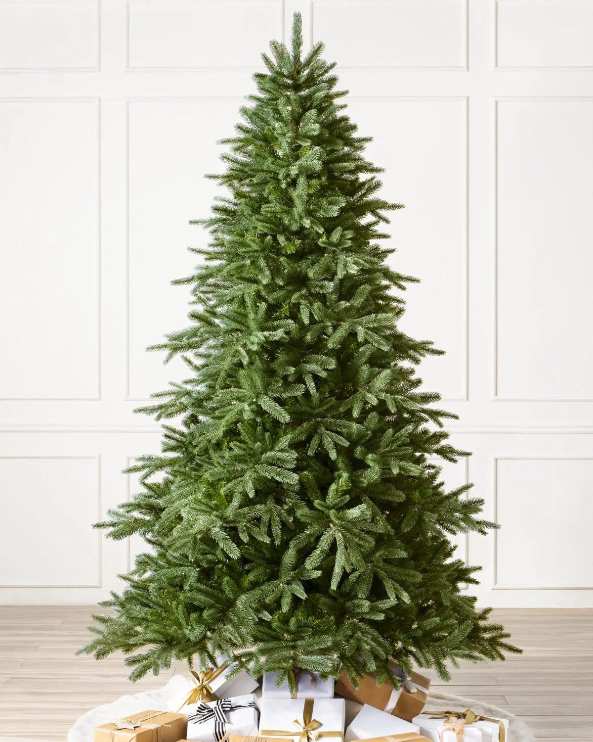 Saratoga Spruce® Tree