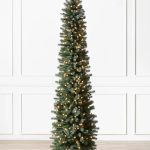 Sanibel Spruce® Tree