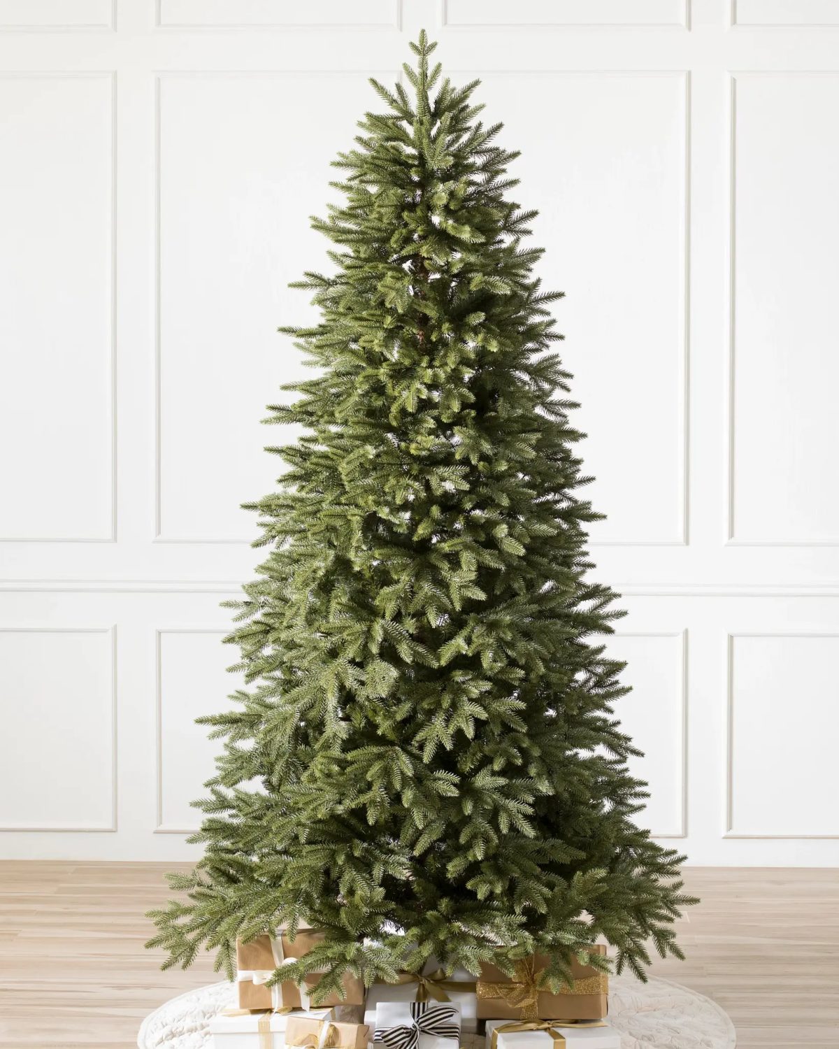 Stratford Spruce®