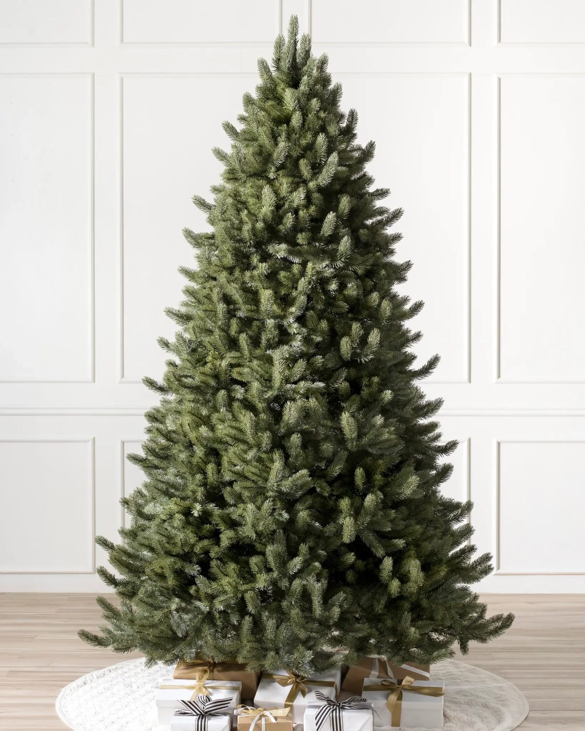 Vermont White Spruce®