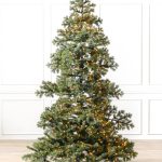 Vermont White Spruce®