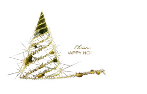 grow-and-stow-christmas-tree-gallery-1